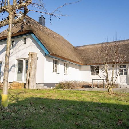 Haus Tadder Villa Born Eksteriør bilde